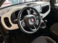 FIAT PANDA 1.0 FireFly S&S Hybrid Pandina