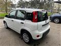 FIAT PANDA 1.0 FireFly  Hybrid Monit. Digit.