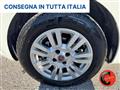 FIAT PUNTO 1.4 77 CV GPL 2033-CERCHI IN LEGA-X NEOPATENTATI-