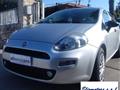 FIAT Punto 1.3 MJT II S&S 95 CV 5p. Street