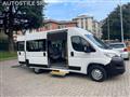 FIAT DUCATO CITROEN JUMPER  *Trasporto DISABILI *9 Posti