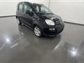 FIAT PANDA 1.0 FireFly S&S Hybrid City Life #VARI COLORI