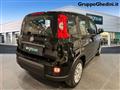 FIAT PANDA 1.0 FireFly S&S Hybrid Pandina