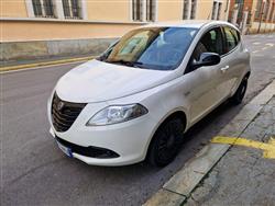 LANCIA Ypsilon 1.2 69 CV 5 porte GPL Ecochic Elefantino