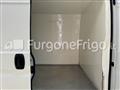 FIAT DUCATO Coibentato Isotermico Frigorifero