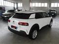 CITROEN C4 CACTUS BlueHDi 100 S&S Shine