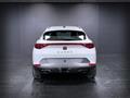 CUPRA FORMENTOR 2.0 TDI 4Drive DSG