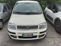 FIAT PANDA 1.2 Dynamic Natural Power