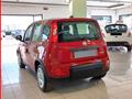 FIAT Panda 1.0 FireFly S&S Hybrid MY24 KM ZERO!!! IVATA NEOPATENTATI