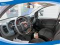 FIAT PANDA Hybrid 1.0 FireFly 70cv EU6