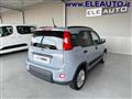 FIAT PANDA 1.0 FireFly S&S Hybrid - Neopatentati