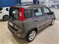 FIAT PANDA 3ª serie 1.0 FireFly S&S Mild - Hybrid City Life