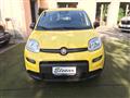 FIAT PANDA 1.0 FireFly S&S Hybrid Pandina