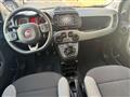 FIAT Panda 1.0 firefly hybrid City Life s