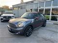 MINI COUNTRYMAN 1.6 Cooper D Park Lane Plus