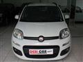 FIAT PANDA 1.2 Lounge easypower Gpl 69cv