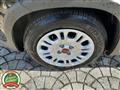 FIAT PANDA 1.0 FireFly S&S Hybrid Ok NEOPATENTATI