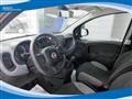 FIAT PANDA CROSS Hybrid 1.0 FireFly 70cv City Life EU6