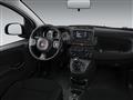 FIAT PANDA NEW 1.0 70cv Hybrid Pandina