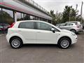 FIAT PUNTO 1.4 8V 5 porte Natural Power Street