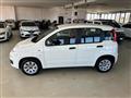 FIAT PANDA 1.2 Easy ok Neopatentati