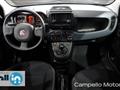 FIAT PANDA CROSS Panda 1.0 70cv Hybrid Panda My23