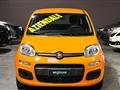 FIAT PANDA 1.0 FireFly S&S Hybrid 70cv