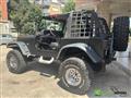 JEEP WRANGLER 4.0 cat Hard top (EU)