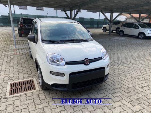 FIAT PANDA 1.0 FireFly S&S Hybrid  KM  0