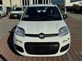 FIAT PANDA 1.2  S.&S. E6D-TEMP EASY 5 POSTI GUIDABILE NEOPA