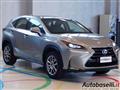 LEXUS NX HYBRID 4WD ''ICON'' AUTOMATICA CVT