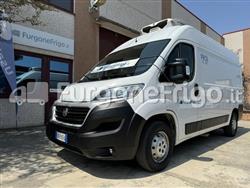 FIAT DUCATO Coibentato Isotermico Frigorifero