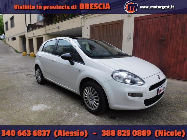 FIAT PUNTO 1.2 8V 5 porte Easy