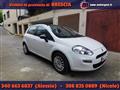 FIAT PUNTO 1.2 8V 5 porte Easy