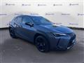 LEXUS UX Hybrid 4WD Midnight