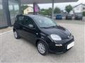 FIAT PANDA FIAT PANDA  Hybrid