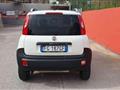 FIAT PANDA 1.3 Multijet 4x4 VAN 2 POSTI