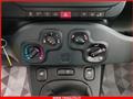 FIAT Panda 1.0 FireFly S&S Hybrid MY24 KM ZERO!!! IVATA NEOPATENTATI