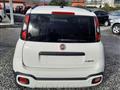 FIAT PANDA CROSS Panda Cross 1.0 FireFly S&S Hybrid