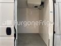 FIAT DUCATO Fiat Ducato Coibentato Isotermico Frigorifero