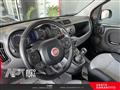 FIAT PANDA 1.2 Lounge 69cv