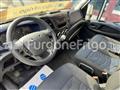 IVECO DAILY Coibentato Isotermico Frigorifero