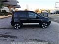 FIAT PANDA 1.0 FireFly S&S Hybrid Pandina