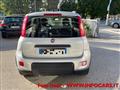 FIAT PANDA 1.0 FireFly S&S Hybrid City Life NEOPATENTATI