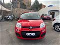 FIAT PANDA 1.0 FireFly S&S Hybrid *IVA ESPOSTA* NEOPATENTATI