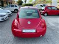 VOLKSWAGEN NEW BEETLE 1.9 TDI 101CV 'Kite'