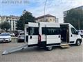 FIAT DUCATO CITROEN JUMPER  *Trasporto DISABILI *9 Posti