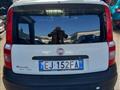 FIAT PANDA VAN 1.2 4x4 Van Active 2 posti