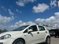 FIAT PUNTO 1.2 8V 5 porte Lounge