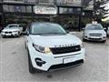 LAND ROVER DISCOVERY SPORT 2.0 TD4 180 CV Auto Business Ed. Premium SE